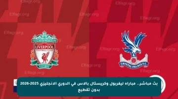 بث مباشر.. مباراة ليفربول وكريستال بالاس في الدوري الإنجليزي 2025-2026 بدون تقطيع